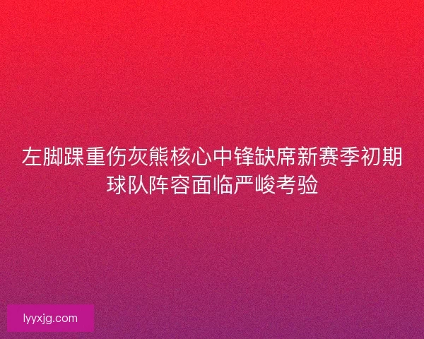 左脚踝重伤灰熊核心中锋缺席新赛季初期球队阵容面临严峻考验