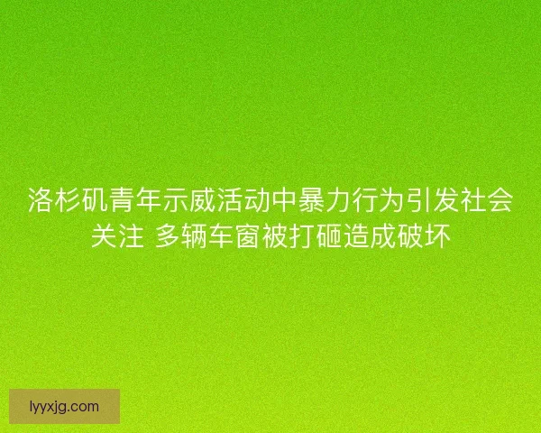 洛杉矶青年示威活动中暴力行为引发社会关注 多辆车窗被打砸造成破坏