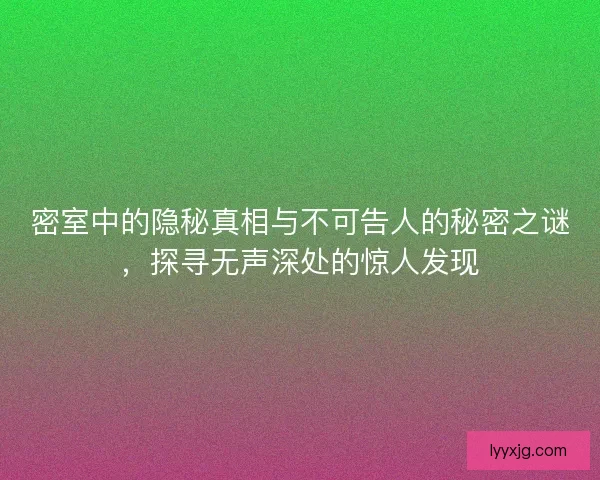 密室中的隐秘真相与不可告人的秘密之谜，探寻无声深处的惊人发现